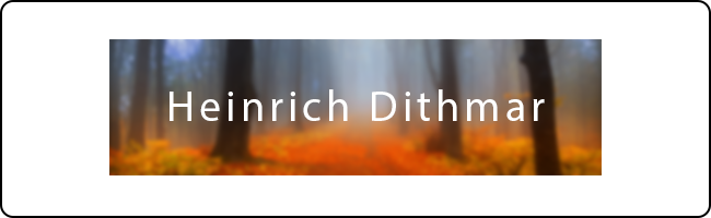 Atelier für Streichinstrumente und Kontrabass
Heinrich Dithmar - Geigenbaumeister